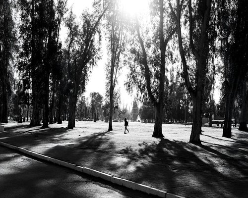 A person taking a calm walk in a Mexican urban park during afternoon